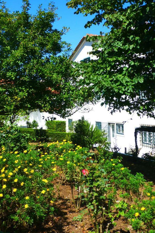 Comfy Sintra Bed & Breakfast Exterior photo